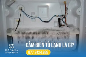 cam bien tu lanh