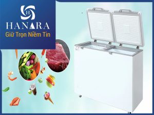 Dịch vụ sửa chữa tủ đông