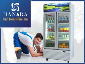 Dịch vụ sửa chữa tủ mát